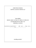 Giáo trình Động vật hại cây trồng và nông sản - Nghề: Bảo vệ thực vật (Cao đẳng) - CĐ Nghề Đà Lạt