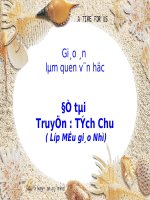Lĩnh vực phát triển ngôn ngữ Đề tài: Truyện Tích chu