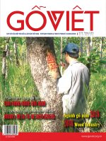 Tạp chí Gỗ Việt – Số 76 năm 2016