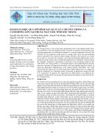 Đánh giá hiệu quả mô hình sản xuất lúa truyền thống và cánh đồng lớn tại thị xã Ngã Năm, tỉnh Sóc Trăng