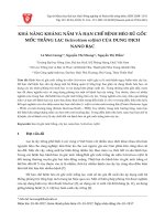 Khả năng kháng nấm và hạn chế bệnh héo rũ gốc mốc trắng lạc (Sclerotium rolfsii) của dung dịch nano bạc