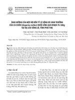 Ảnh hưởng của mật độ đến tỷ lệ sống và sinh trưởng của cá chiên (Bagarius rutilus) nuôi lồng giai đoạn 70-500g tại hạ lưu sông Lô, tỉnh Phú Thọ