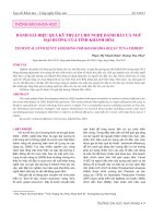 Đánh giá hiệu quả kỹ thuật cho nghề đánh bắt cá ngừ đại dương của tỉnh Khánh Hòa