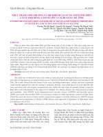 Thực trạng môi trường và dịch bệnh tại vùng nuôi tôm trên cát ở Thạch Hà, Cẩm Xuyên và Nghi Xuân, Hà Tĩnh