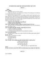 3 đề thi học sinh giỏi môn Tiếng Việt lớp 5 có đáp án