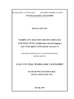 Nghiên cứu bảo tồn chuyển chỗ loài tam thất gừng (stahlianthus thorelii gagnep ) tại vùng đệm vườn quốc gia ba vì 