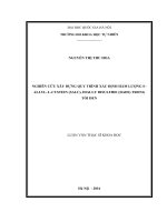 Luận văn thạc sĩ nghiên cứu xây dựng quy trình xác định hàm lượng s allyl l cystein (salc), dially disulfide (dads) t 