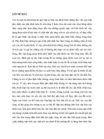 “Sự vận dụng quy luật phủ định của phủ định vào xây dựng nền văn hoá việt nam tiên tiến, đậm đà bản sắc dân tộc