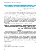 Đặc điểm sinh hóa và di truyền của chủng vibrio parahaemolyticus gây bệnh hoại tử gan thận cho cá mú nuôi tại Cát Bà, Hải Phòng