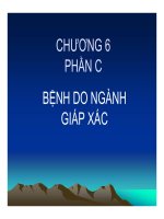 Bài giảng Bệnh học thủy sản: Chương 6 - Hồ Phương Ngân (Phần C)