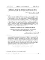 Nghiên cứu một số đặc tính sinh vật học của vi khuẩn Salmonella ở thịt lợn tiêu thụ tại thành phố Lào Cai