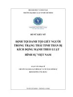 Định tội danh tội giết người trong trạng thái tinh thần bị kích động mạnh theo luật hình sự việt nam 