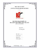 Bài thu hoạch diễn án hình sự hồ sơ LS.HS 06-Đào tạo nghề Luật sư