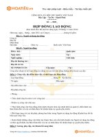 Tải Mẫu hợp đồng lao động năm 2021 - HoaTieu.vn