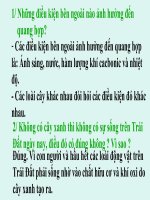 BIẾN DẠNG CỦA LÁ - Website Trường THCS Phan Bội Châu - Đại Lộc - Quảng Nam