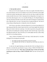 Báo cáo thực tập marketing trực tuyến tại công ty Bất động sản CITYHOME PLUS