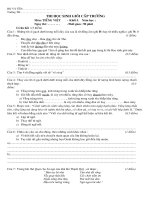 DE THI TIENG VIET HSG lop 5 doc