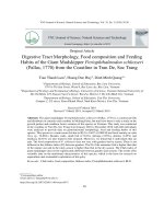 Hình thái ống tiêu hóa, tính ăn và phổ thức ăn của cá Thòi lòi Periophthalmodon schlosseri (Pallas, 1770) phân bố ven biển Trần Đề, Sóc Trăng