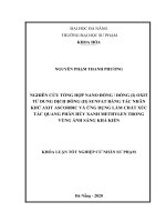 Nghiên cứu tổng hợp nano đồng  đồng (i) oxit từ dung dịch đồng (ii) sunfat bằng tác nhân khử axit ascorbic và ứng dụng làm chất xúc tác quang phân hủy xanh methylen trong vùng ánh sáng khả kiến  