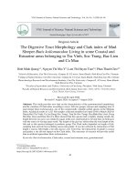 Hình thái ống tiêu hóa và hệ số béo Clark của cá bống lưng cao Butis koilomatodon phân bố ở một số vùng cửa song ven biển thuộc các tỉnh Trà Vinh, Sóc Trăng, Bạc Liêu và Cà Mau