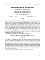 Hiệu quả sử dụng đạm của cây lúa cạn vùng Tây Bắc