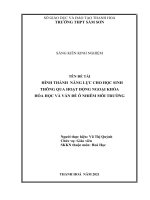 Hình thành năng lực cho học sinh thông qua hoạt động ngoại khóa hóa học và vấn đề ô nhiễm môi trường 
