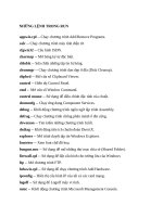 Những lệnh trong Run