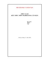 báo cáo tiểu luận môn marketing căn bản chiến lược marketing mix