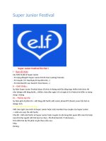 Super Junior Festival