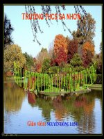 Tim gia tri cua phan so