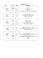 TUAN 33 NAM HOC 20112012