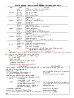 GA 3 T 31 LONG GHEP KNS