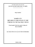 Dự án tóm tắt Luận án Tiến sĩ Sinh học: Nghiên cứu biến đổi của một số gen ty thể ở bệnh ung thư đại trực tràng