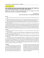 Ảnh hưởng của hàm lượng nitơ khác nhau lên sự phát triển của tảo Chaetoceros gracilis pantocsek 1892 (schütt)