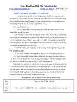 CÔNG THỨC PHỐI TRỘN ĐỆM LÓT SINH THÁI