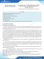 TS247 DT de thi thu tot nghiep thpt 2021 mon van thpt chuyen dai hoc vinh lan 2 co loi giai chi tiet  75067 1617001974 