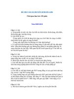 Đề thi vào lớp 10 Chuyên Sinh Trường Amsterdam Hà Nội