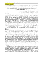 Ảnh hưởng của mật độ nuôi đến sinh trưởng và tỷ lệ sống của ấu trùng hầu Bồ Đào Nha (Crassostrea angulata Lamarck, 1819)