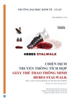 Luận văn cuối kỳ Chiến dịch truyền thông tích hợp cho HEBES