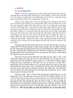 Một số giải pháp xây dựng đội ngũ ban cán sự lớp năng động, sáng tạo góp phần xây dựng lớp học hạnh phúc ở lớp 10a37 trường THPT triệu sơn 3 