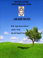 LÀM QUEN VĂN HỌC TRUYỆN : VỊT CON VÀ SƠN CA