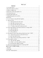 Vận dụng dạy học theo dự án trong chương trình hóa học lớp 11 trường THPT 