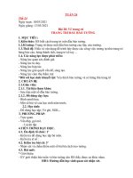 - Giáo án Mĩ thuật 7- Tuần 24