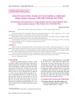 Chuyển giao công nghệ sản xuất giống cá đối mục (Mugil Cephalus Linnaeus, 1758) cho tỉnh Quảng Ninh