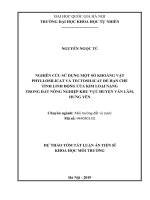 Dự thảo tóm tắt Luận án Tiến sĩ Khoa học môi trường: Nghiên cứu sử dụng một số khoáng vật phyllosilicat và tectosilicat để hạn chế tính linh động của kim loại nặng trong đất nông n...