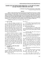 Nghiên cứu khả năng kháng bệnh bạc lá của một số giống lúa địa phương ở miền Bắc Việt Nam