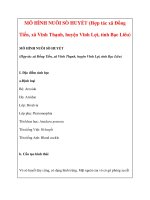 MÔ HÌNH NUÔI SÒ HUYẾT