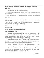 Giáo trình năng lượng mới ứng dụng trên ô tô