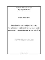 Nghiên cứu hiện trạng phân bố và kỹ thuật nhân giống cây mật nhân (eurycoma longifolia jack) tại đà nẵng    