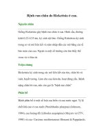 Bệnh run chân do Rickettsia ở cua.